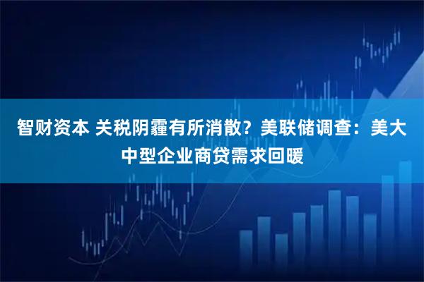 智财资本 关税阴霾有所消散？美联储调查：美大中型企业商贷需求回暖