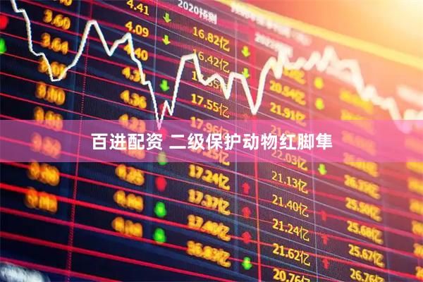 百进配资 二级保护动物红脚隼